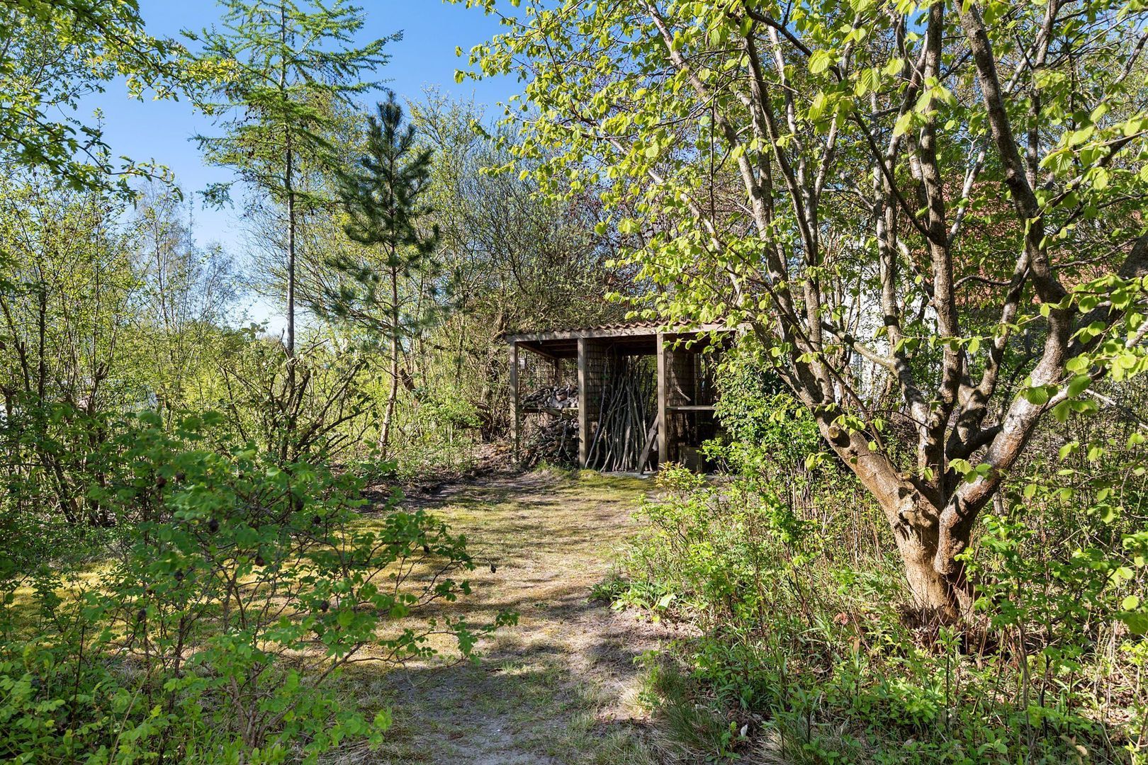 De Rug 3 83, Lauwersoog foto-25