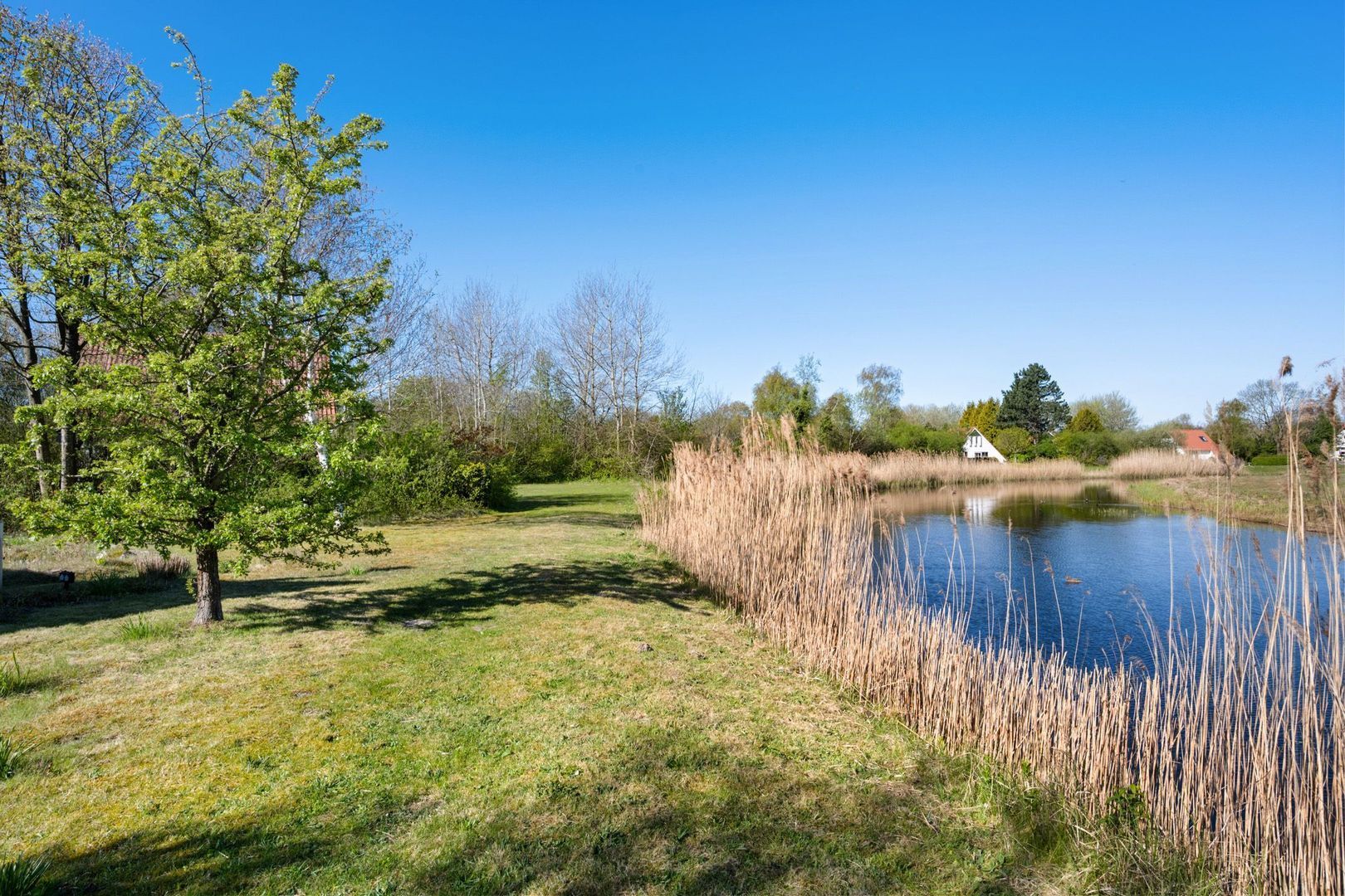 De Rug 3 83, Lauwersoog foto-31