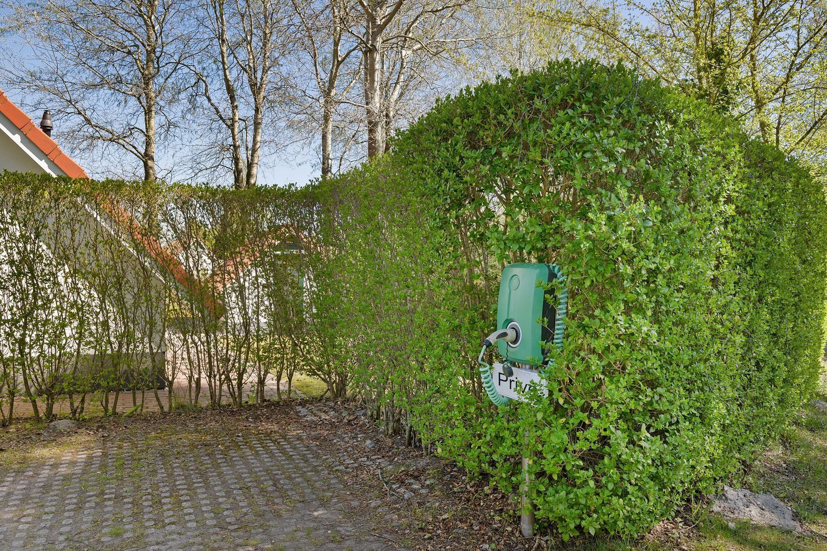 De Rug 3 295, Lauwersoog foto-30
