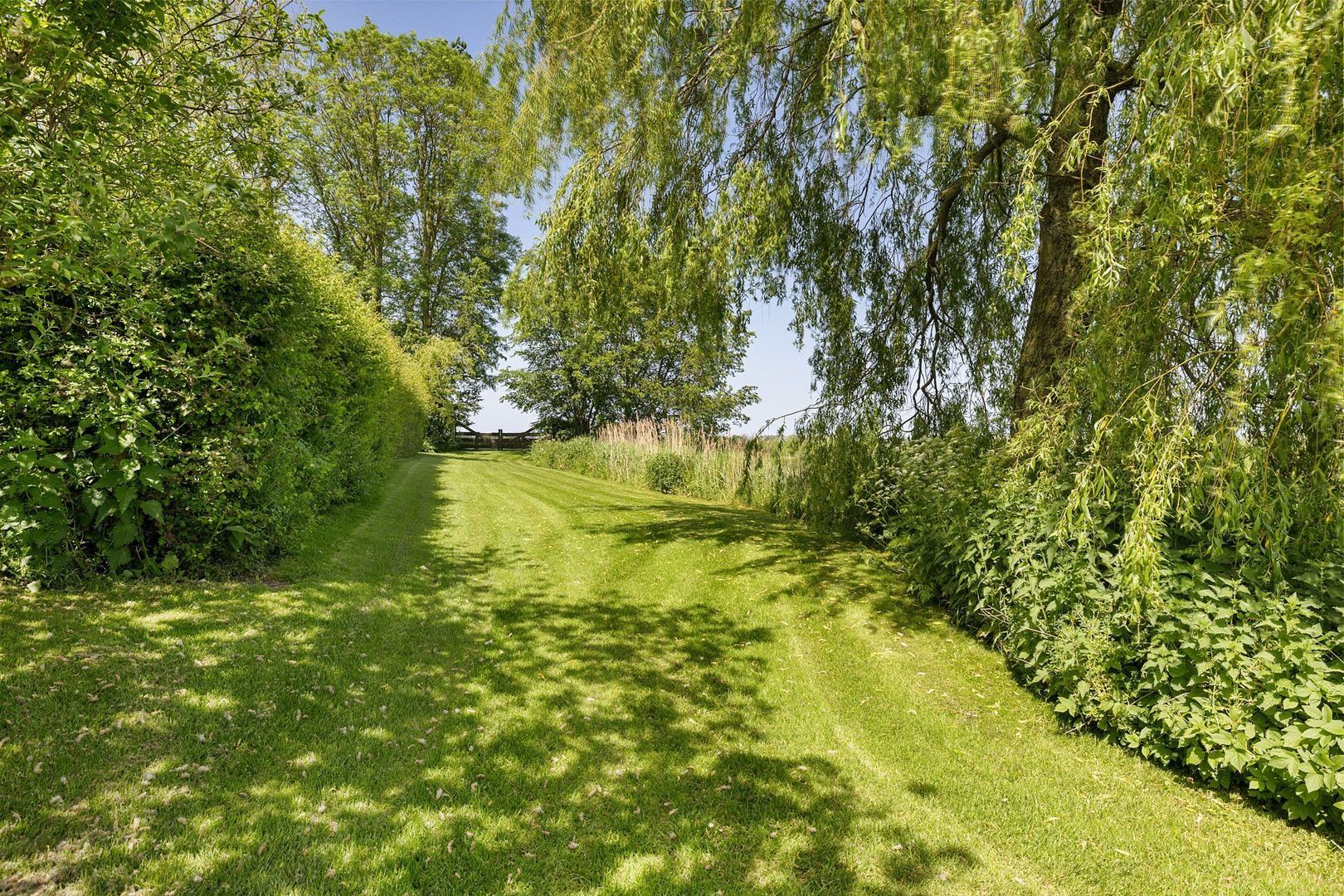 Skieppereed 22, Ie foto-44