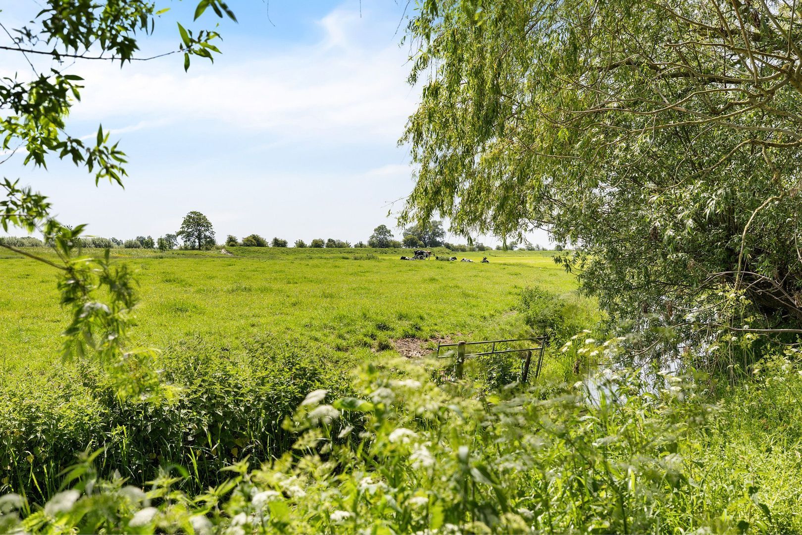 Skieppereed 22, Ie foto-51