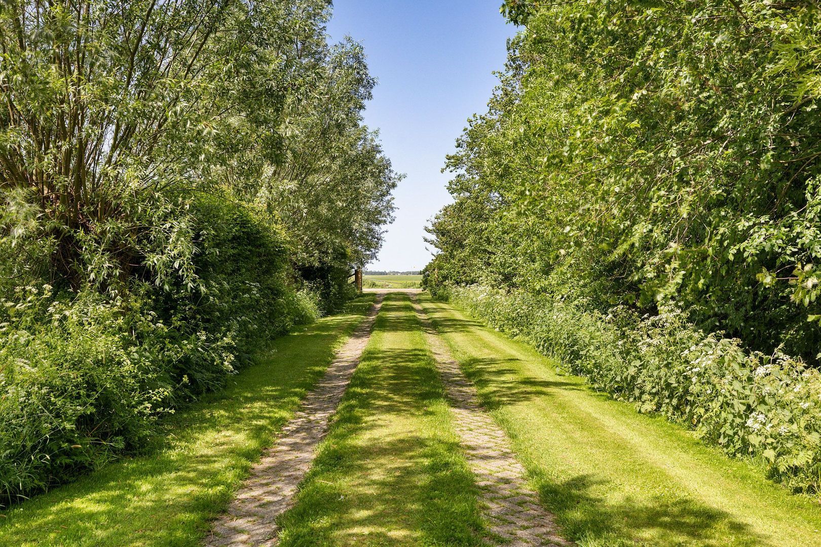 Skieppereed 22, Ie foto-53