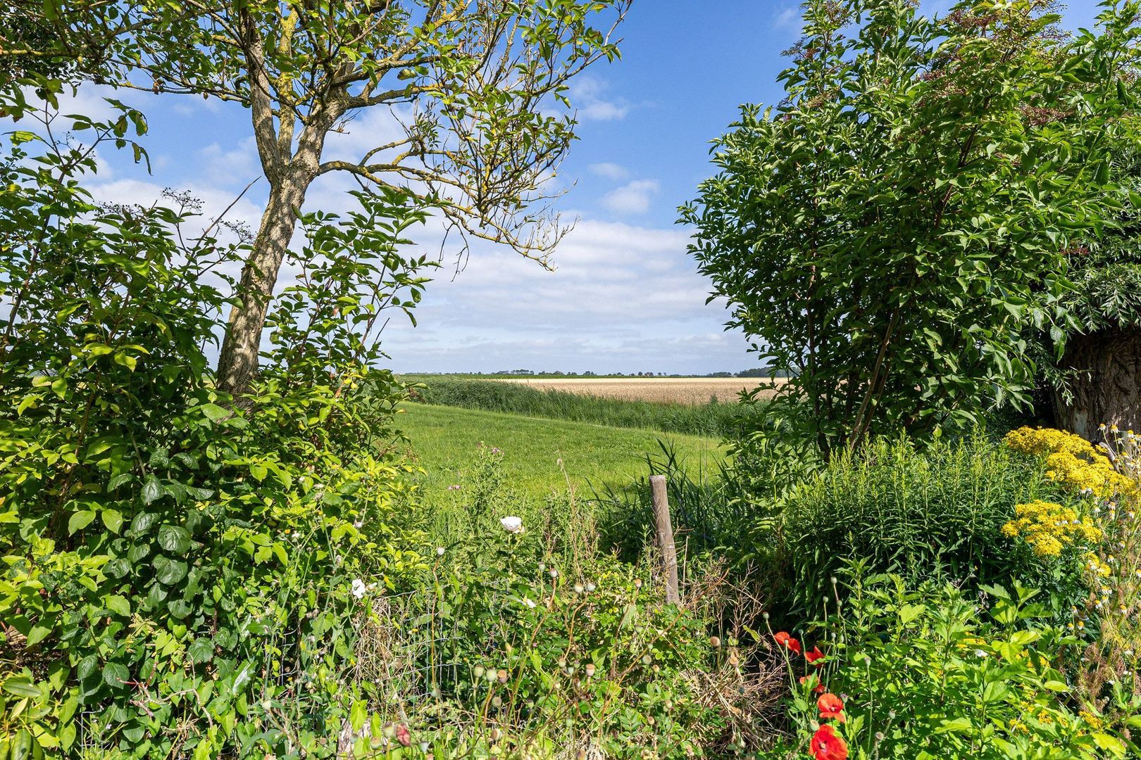 Ald Tún 18, Easternijtsjerk foto-32