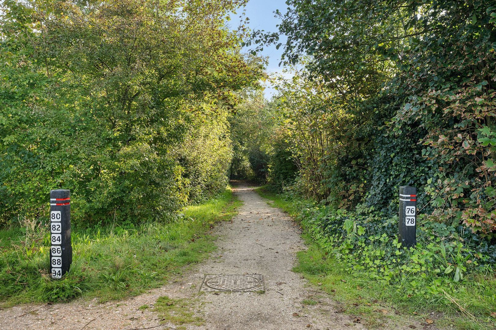 Rijspolder 94, Schiermonnikoog foto-18