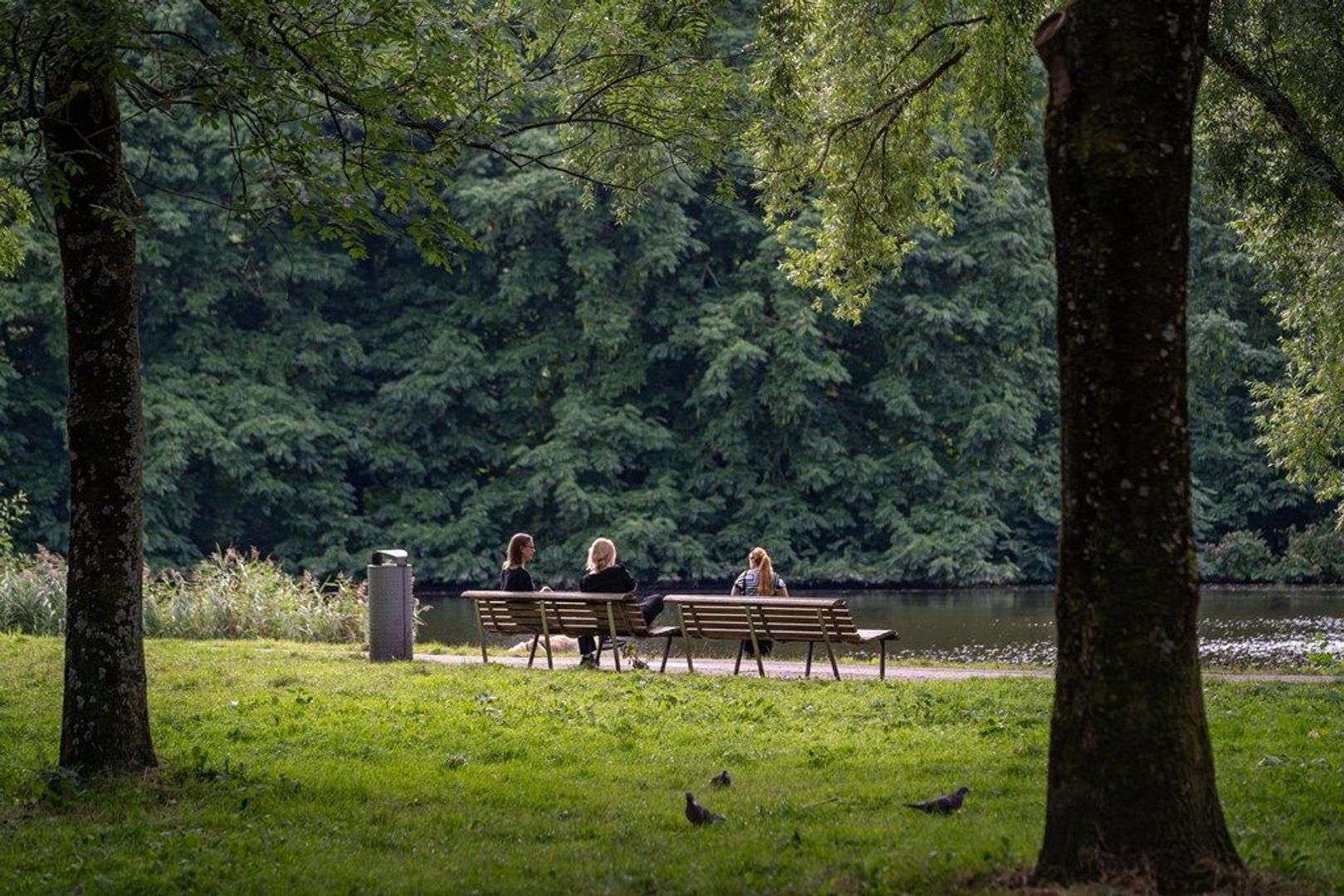 Orteliusstraat 44 2, Amsterdam foto-52