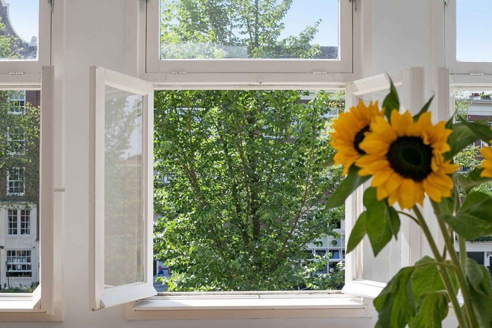 Prinsengracht 409 C, Amsterdam foto-9