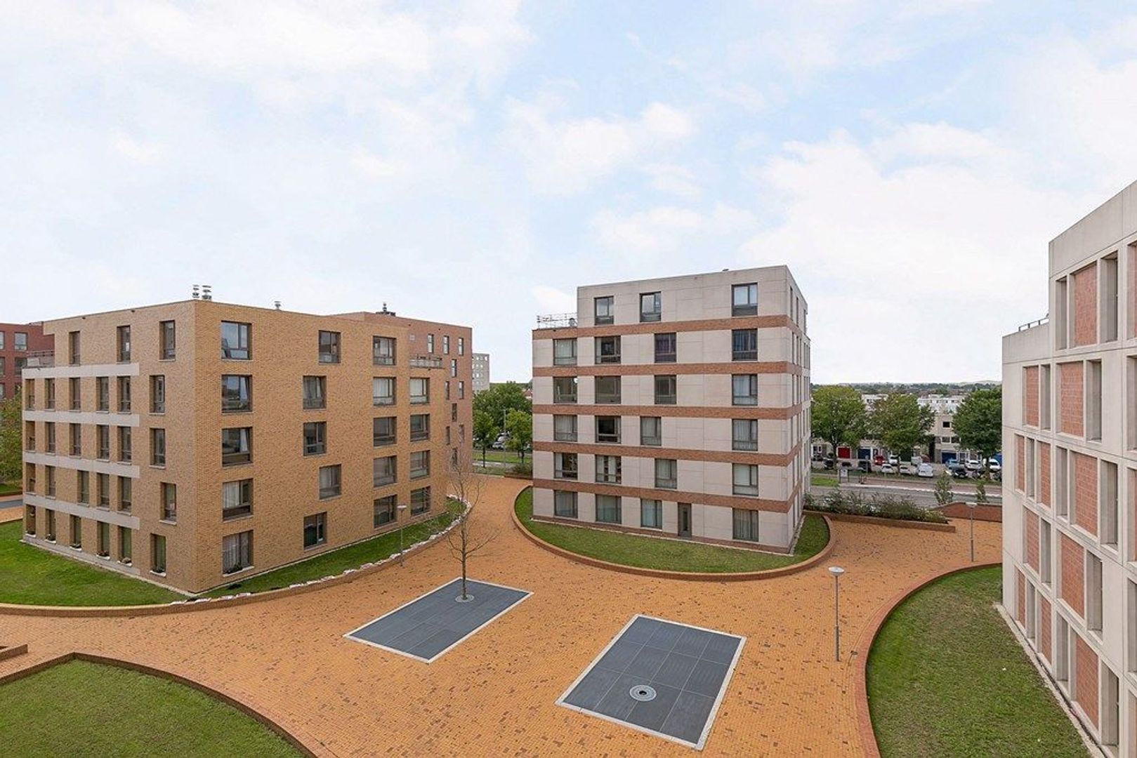 Teakhout 68, Zaandam foto-15