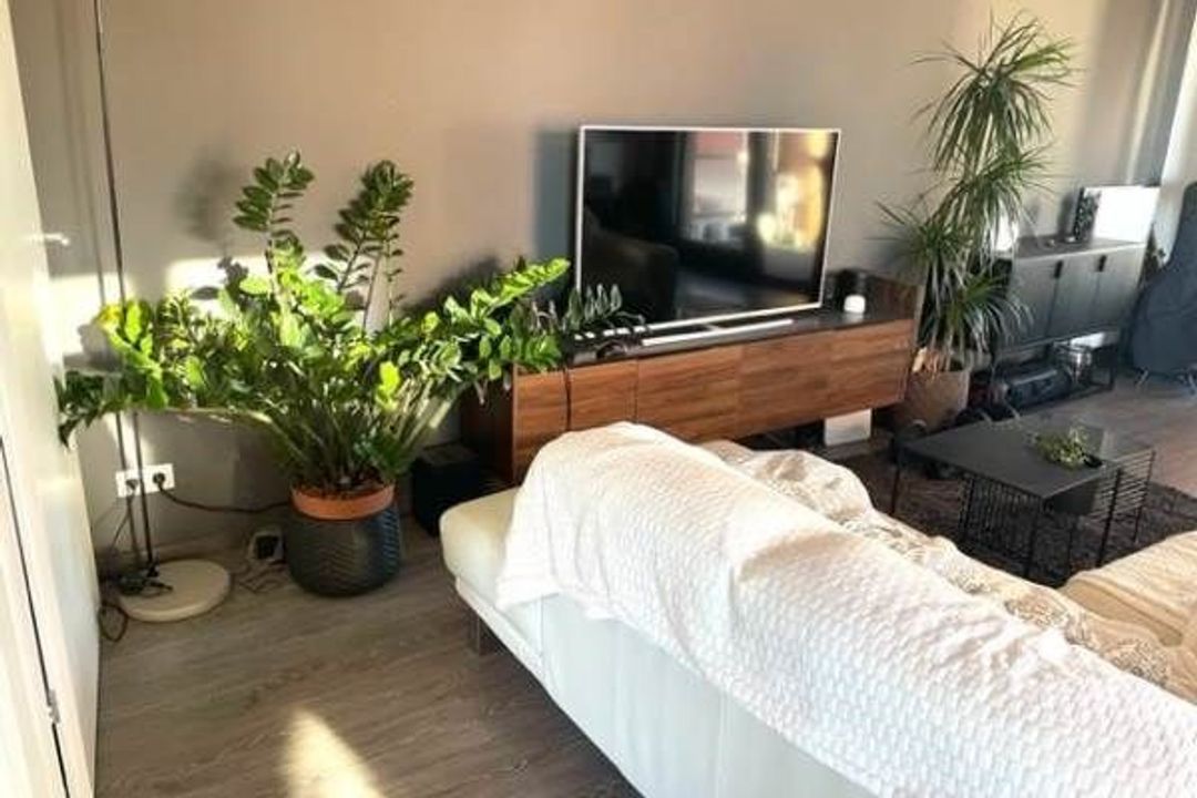 Teakhout 68, Zaandam