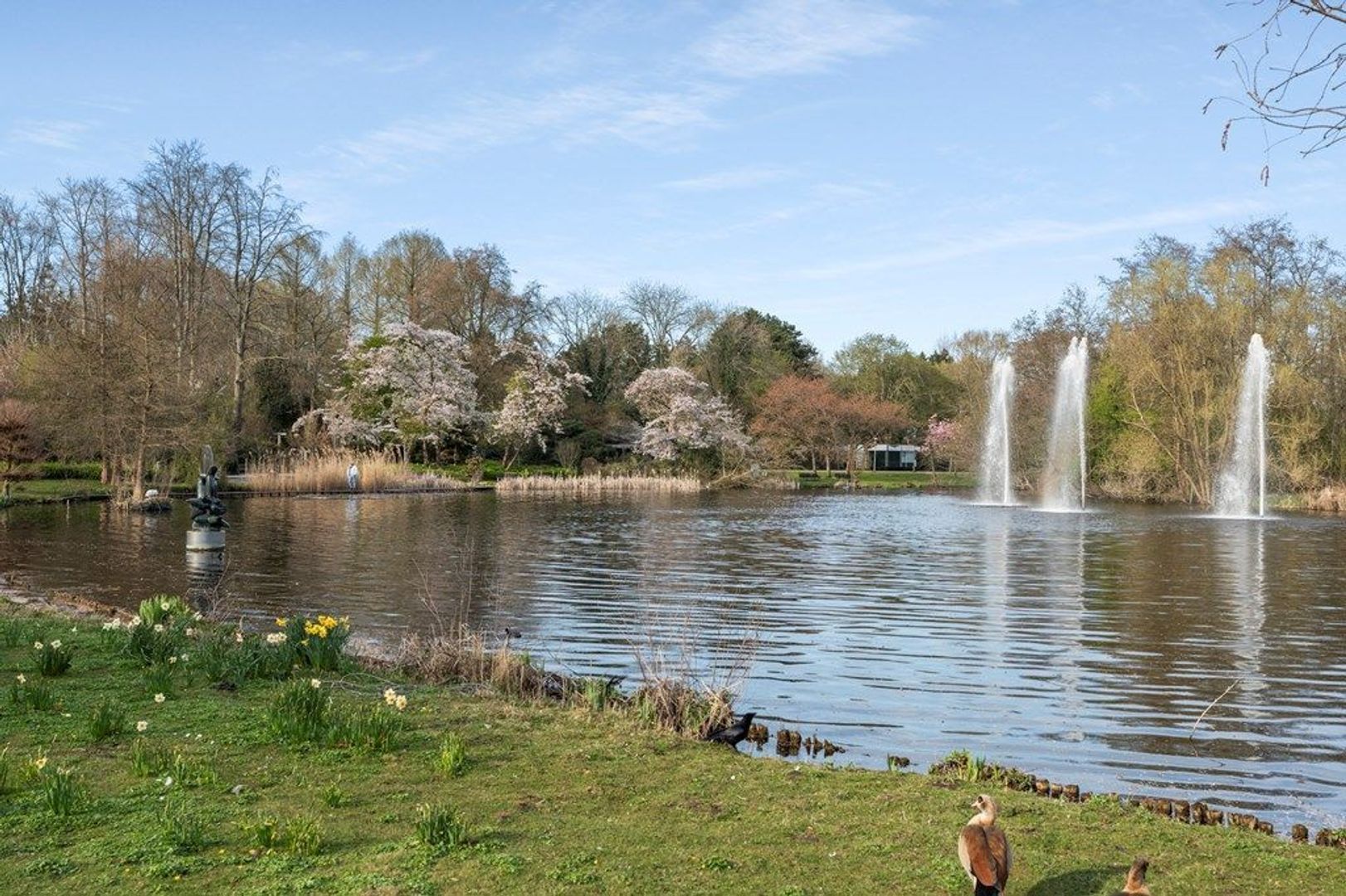 Dintelstraat 61 3, Amsterdam foto-63