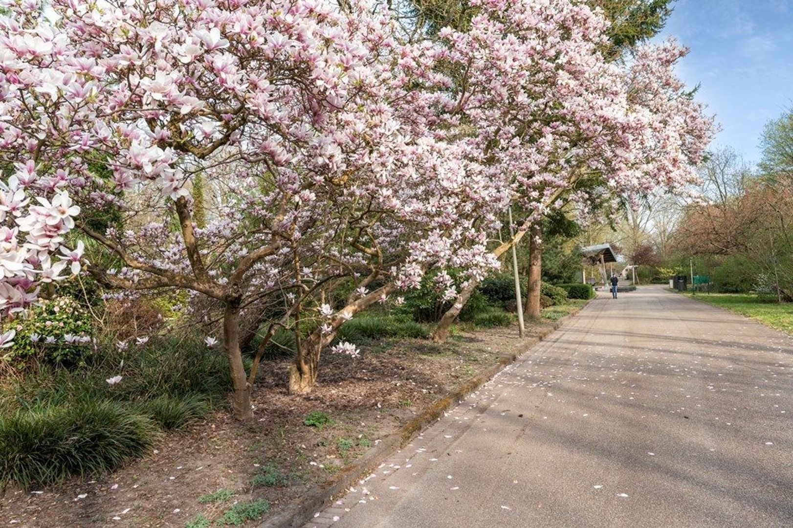 Dintelstraat 61 3, Amsterdam foto-61