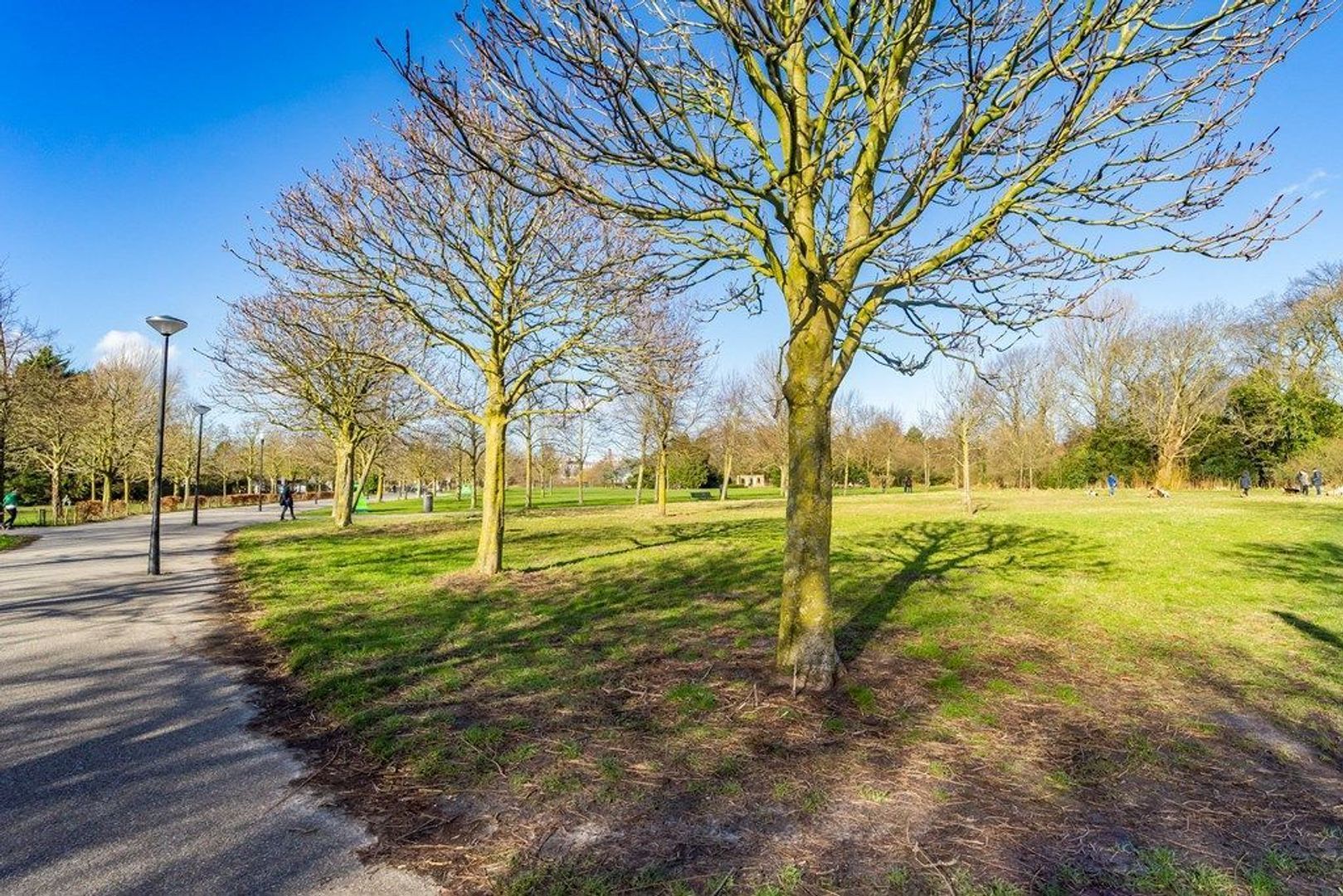 Linnaeusparkweg 114 2, Amsterdam foto-74