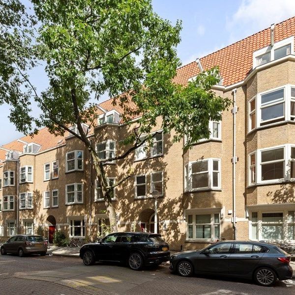 <%= item.address %>, <%= item.city %>