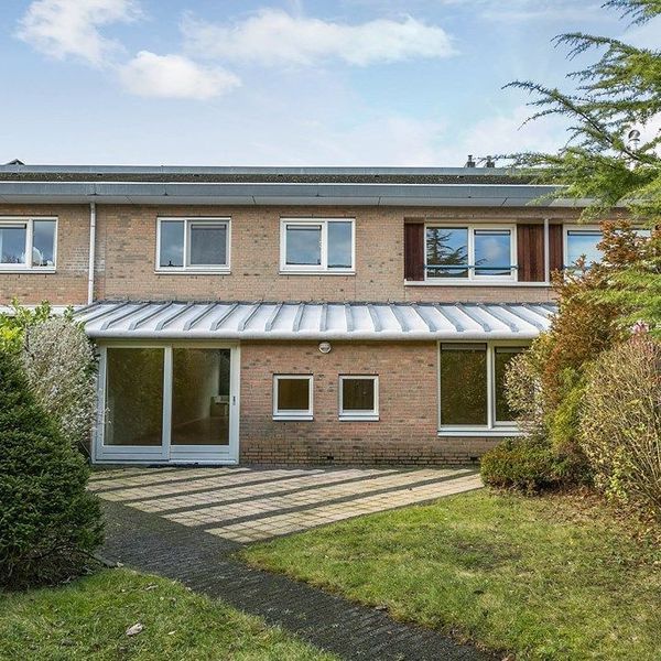 <%= item.address %>, <%= item.city %>