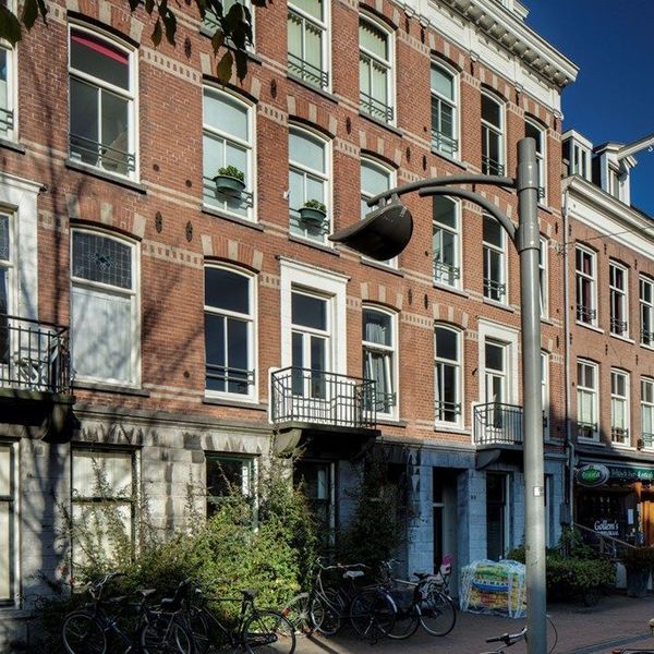 <%= item.address %>, <%= item.city %>