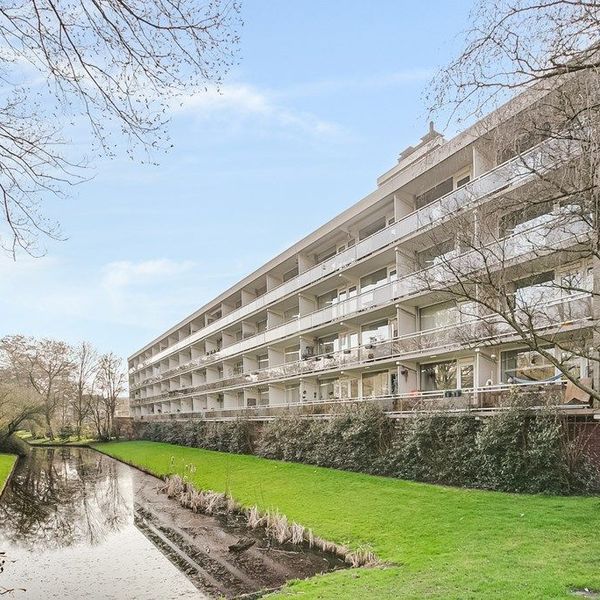 <%= item.address %>, <%= item.city %>