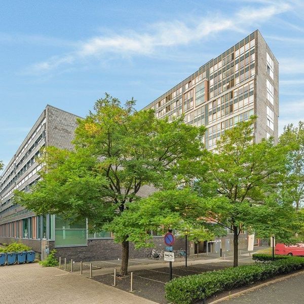 <%= item.address %>, <%= item.city %>