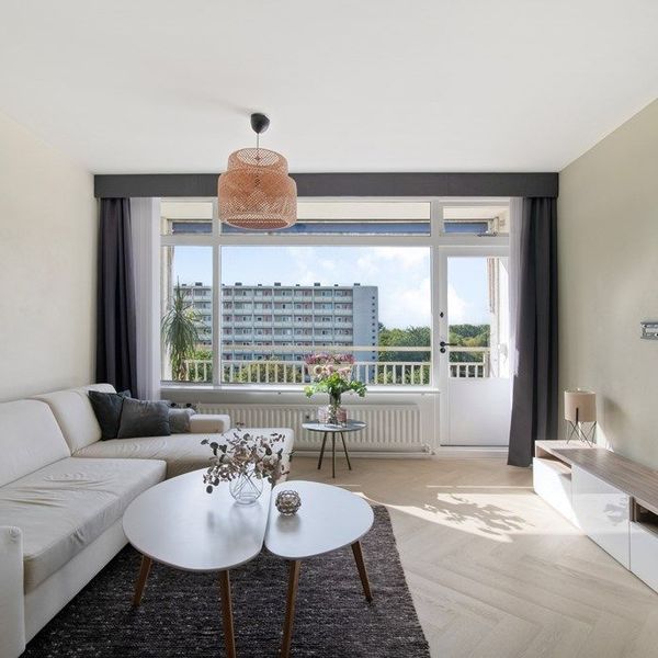 <%= item.address %>, <%= item.city %>