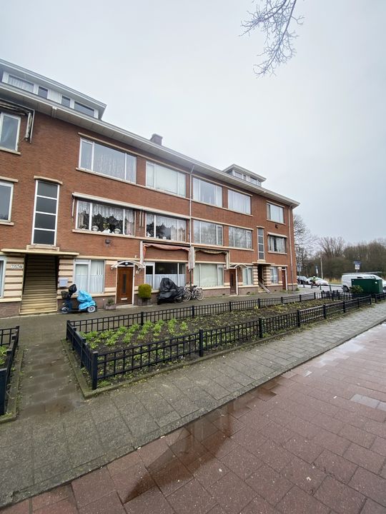 De Genestetlaan, Den Haag