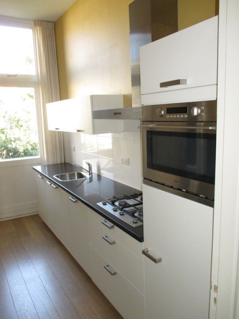 Groot Hertoginnelaan, Den Haag foto-14