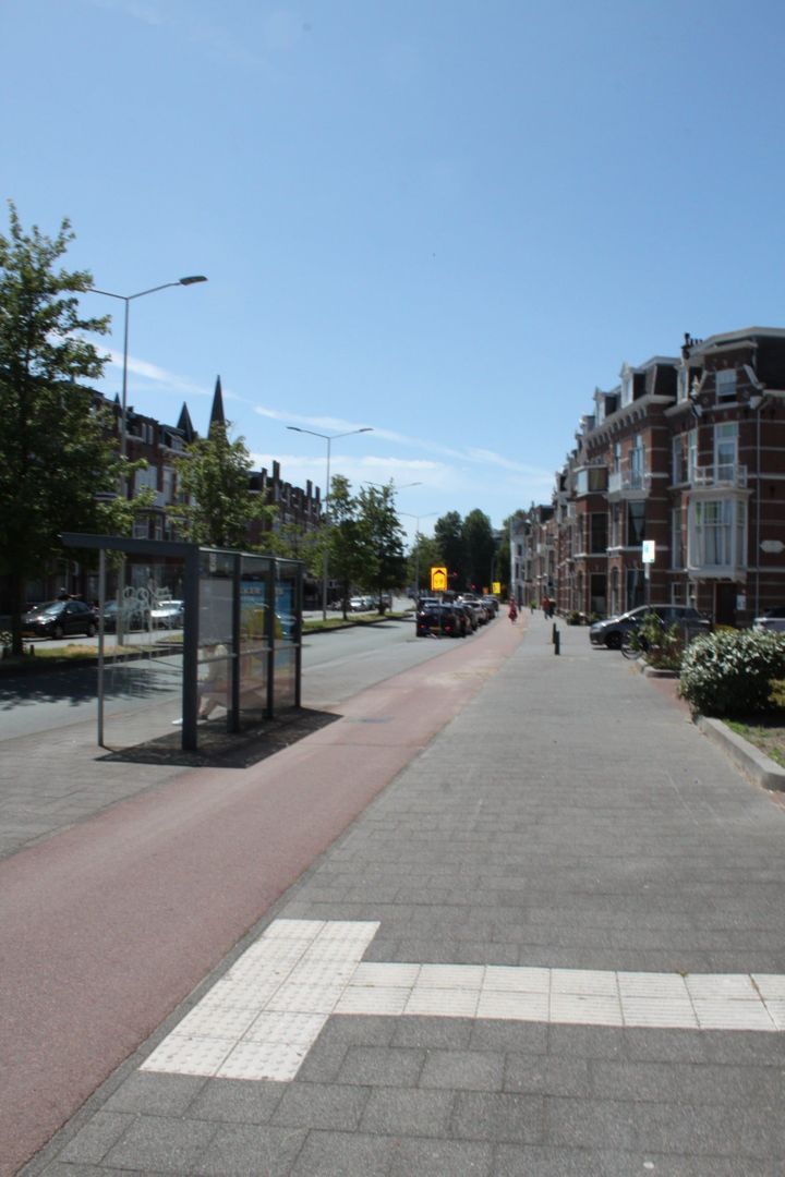 Groot Hertoginnelaan, Den Haag foto-3