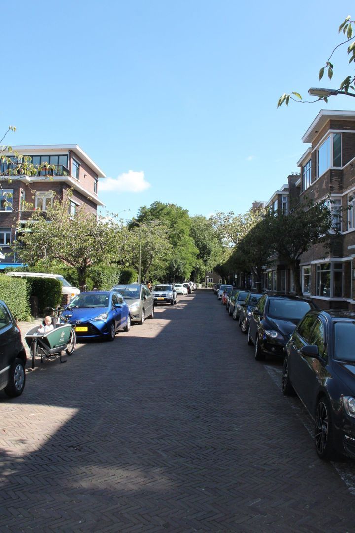 Bosbesstraat, Den Haag foto-1
