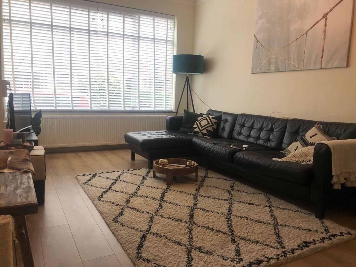 Bosbesstraat, Den Haag foto-2