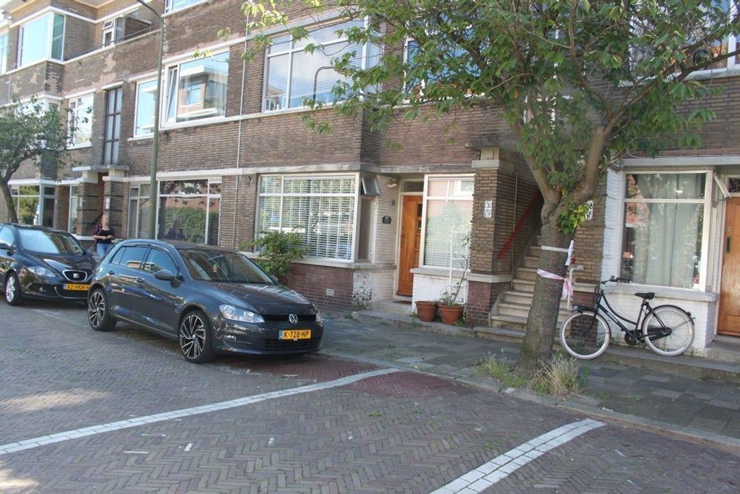 Bosbesstraat, Den Haag