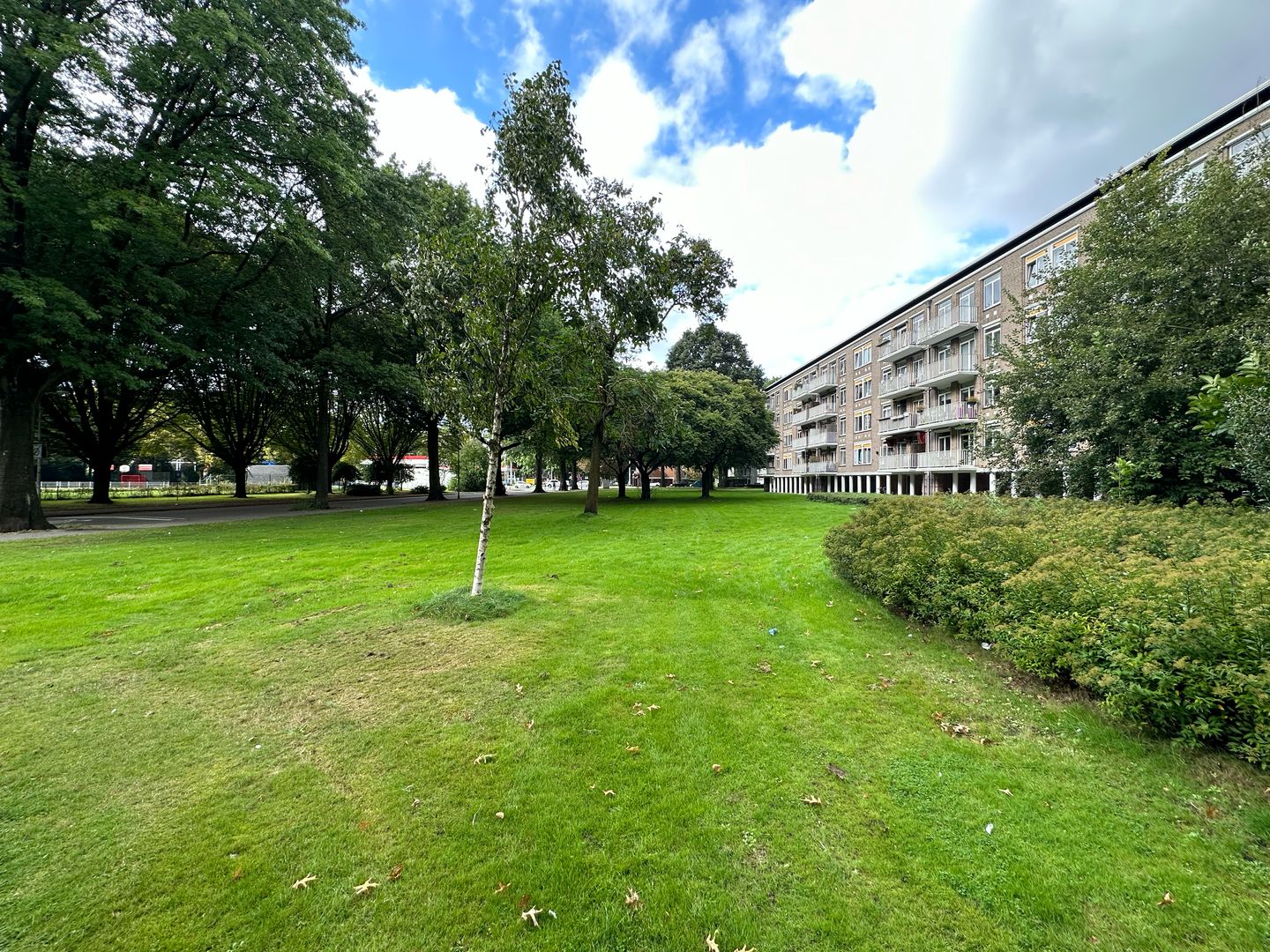 Johannes van Zantenstraat, Tilburg foto-15