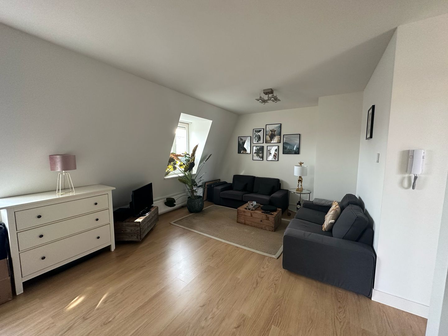 Merkusstraat, Den Haag foto-3