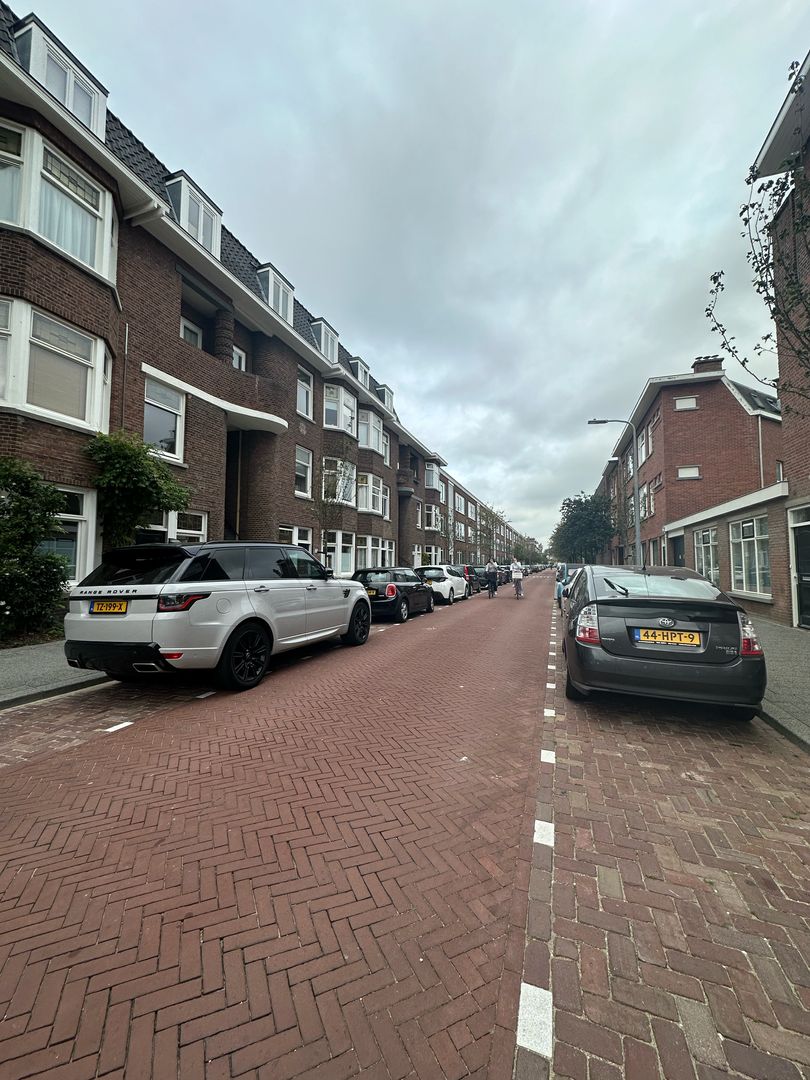 Merkusstraat, Den Haag foto-1