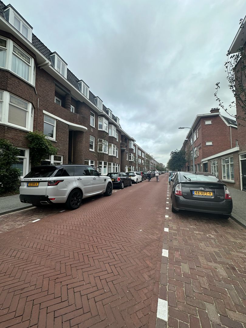 Merkusstraat, Den Haag foto-1
