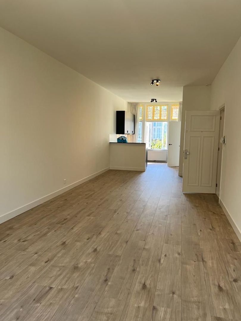 Van Slingelandtstraat, Den Haag foto-1