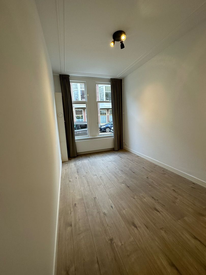 Van Slingelandtstraat, Den Haag foto-10