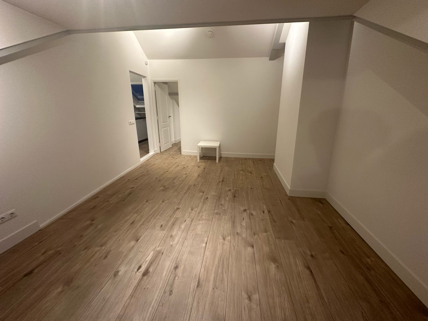 Hoefbladlaan, Den Haag foto-1