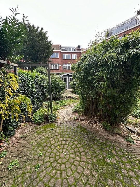 Bosbesstraat, Den Haag