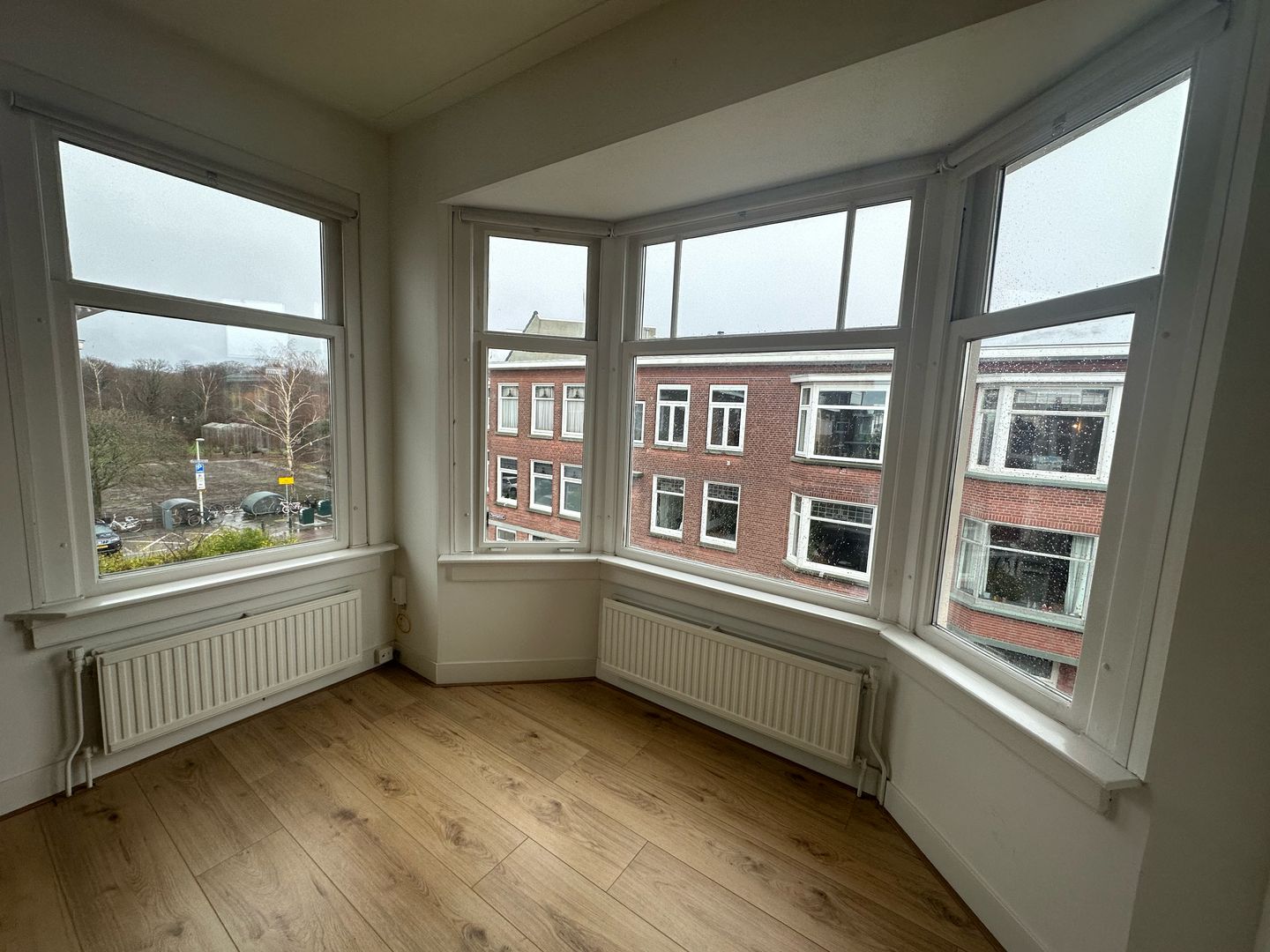 Pippelingstraat, Den Haag foto-2