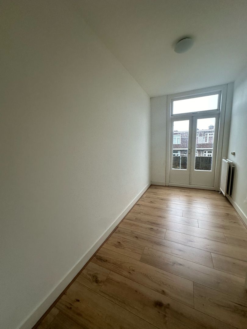 Pippelingstraat, Den Haag foto-9