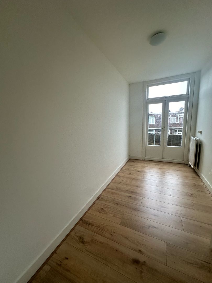 Pippelingstraat, Den Haag foto-9