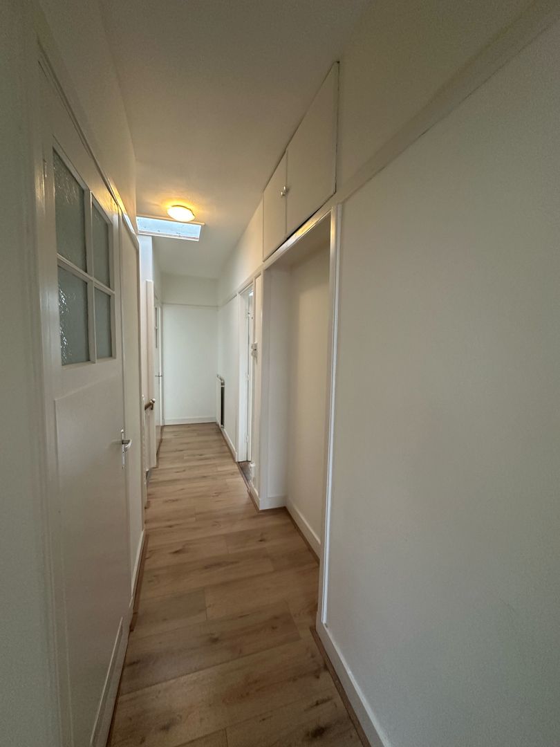 Pippelingstraat, Den Haag foto-6