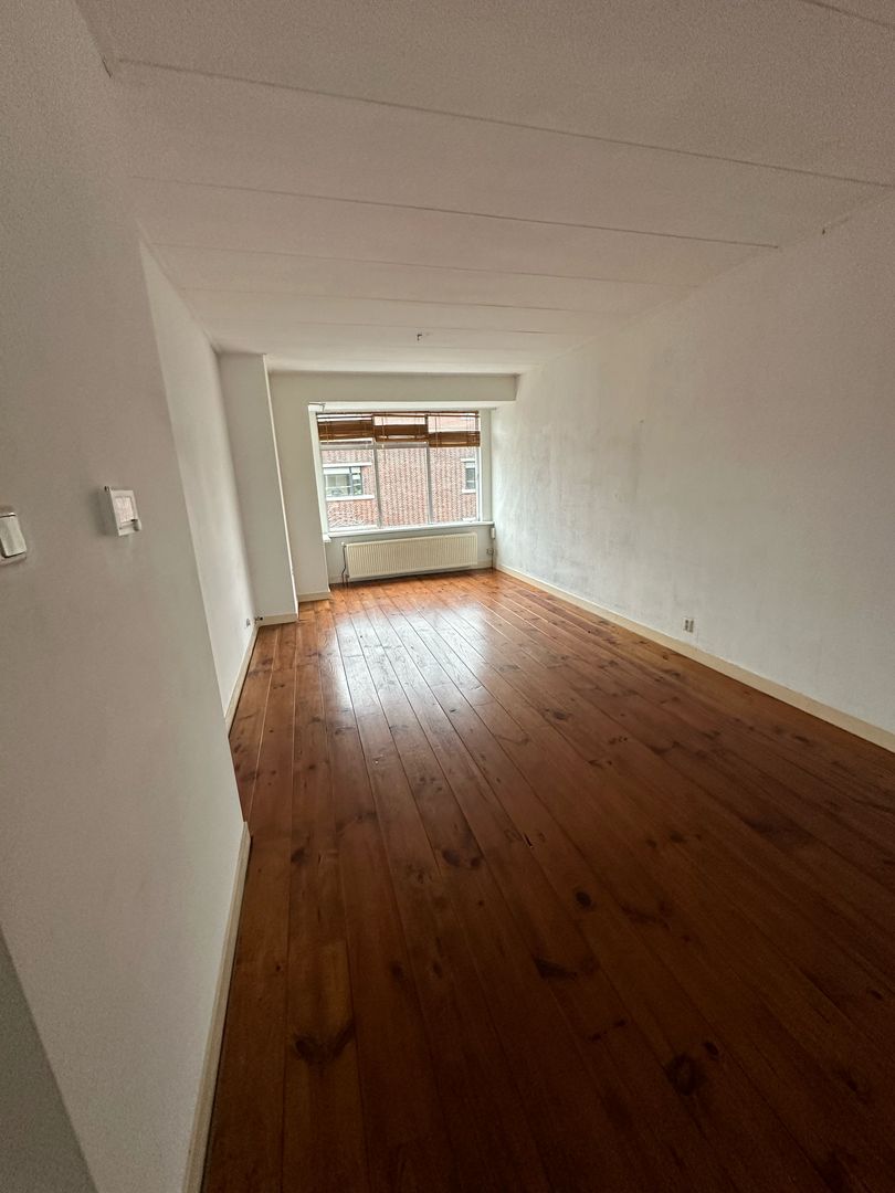 Bosbesstraat, Den Haag foto-3