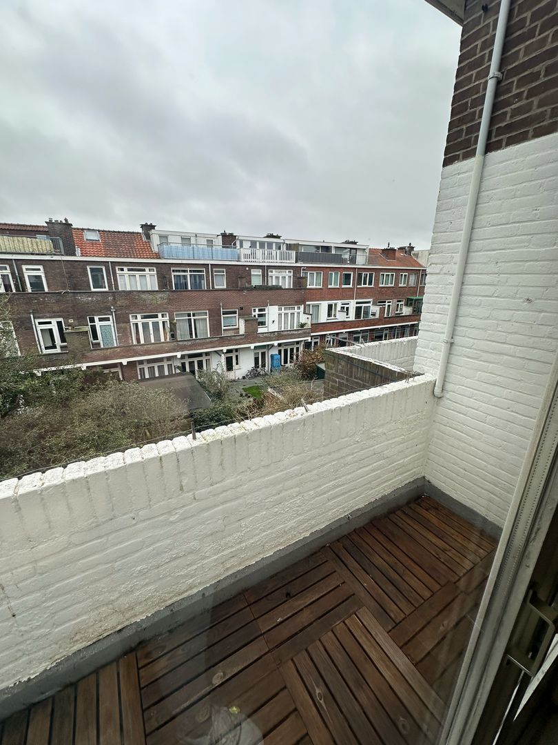 Bosbesstraat, Den Haag foto-5