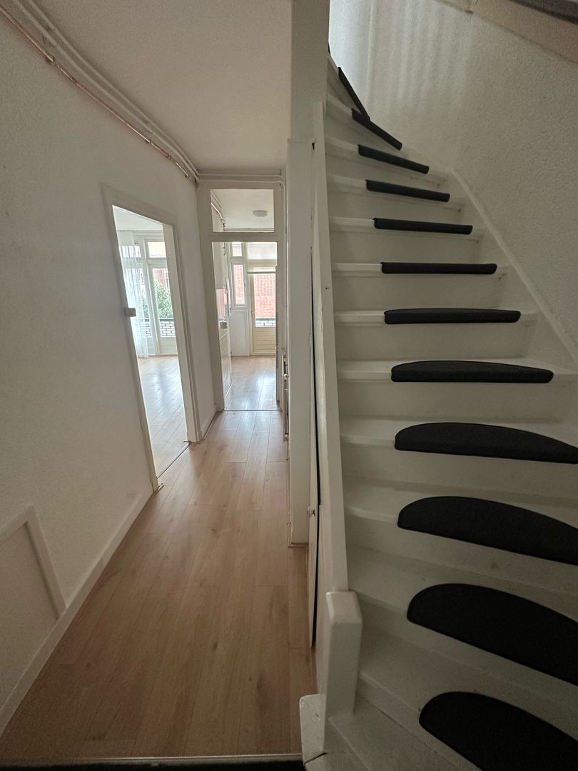 Da Costalaan, Rijswijk foto-1