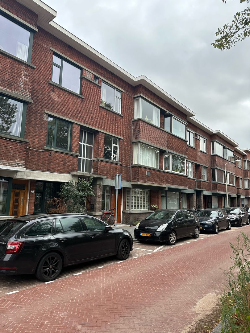 Cornelis van der Lijnstraat, Den Haag foto-1