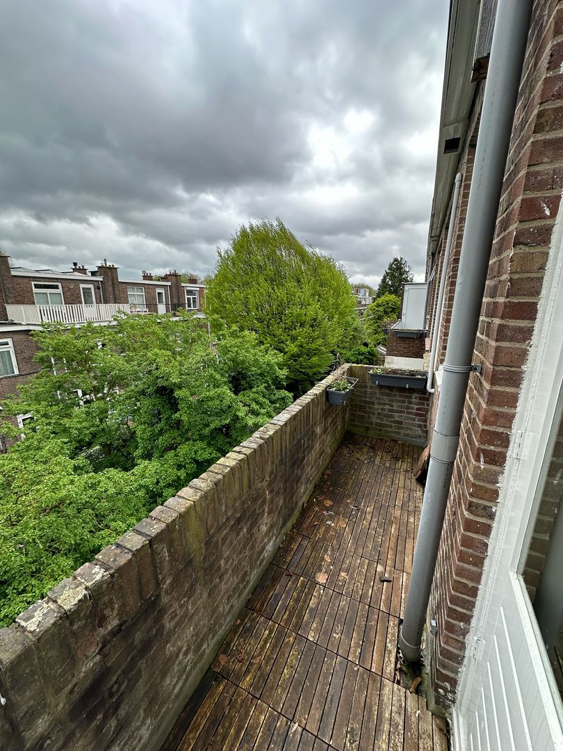 Cornelis van der Lijnstraat, Den Haag foto-9