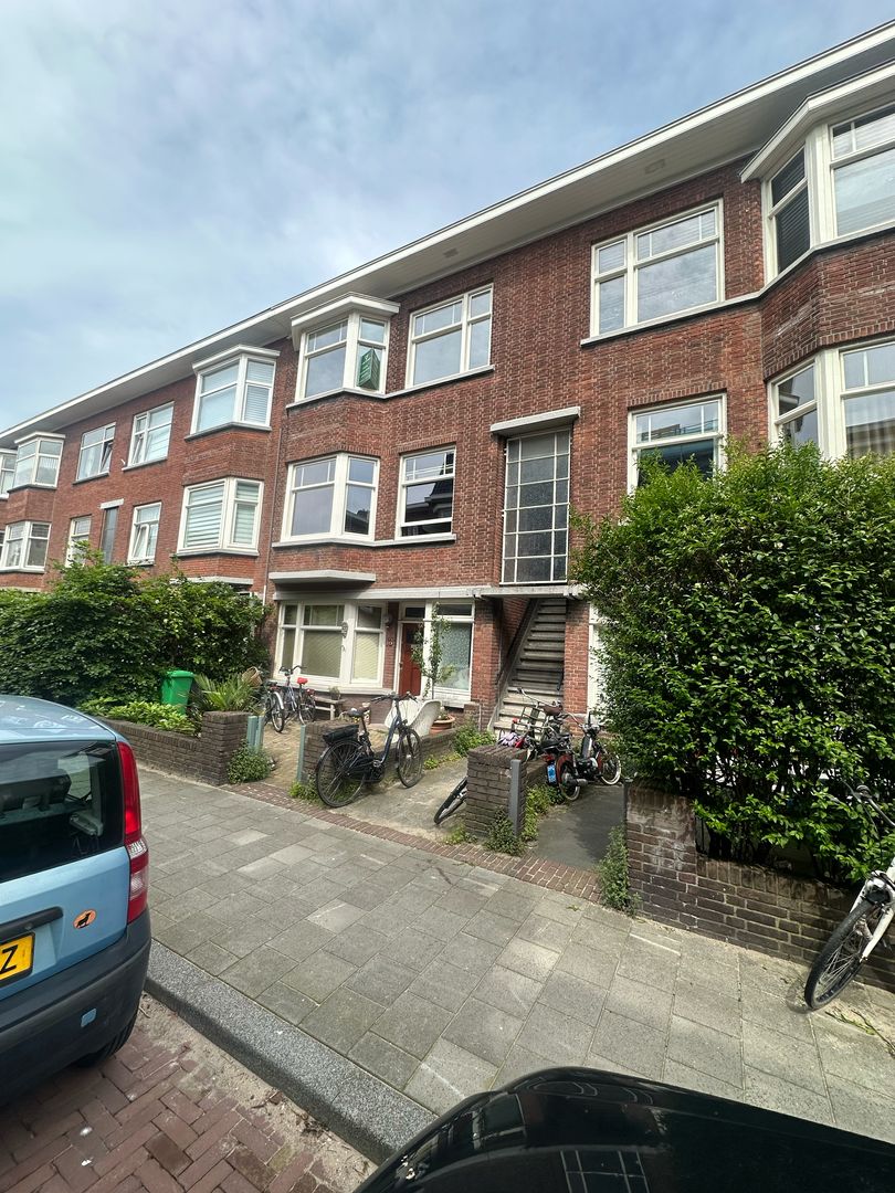 Pippelingstraat, Den Haag foto-0