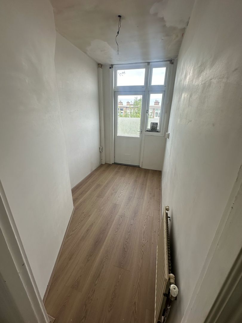 Pippelingstraat, Den Haag foto-5