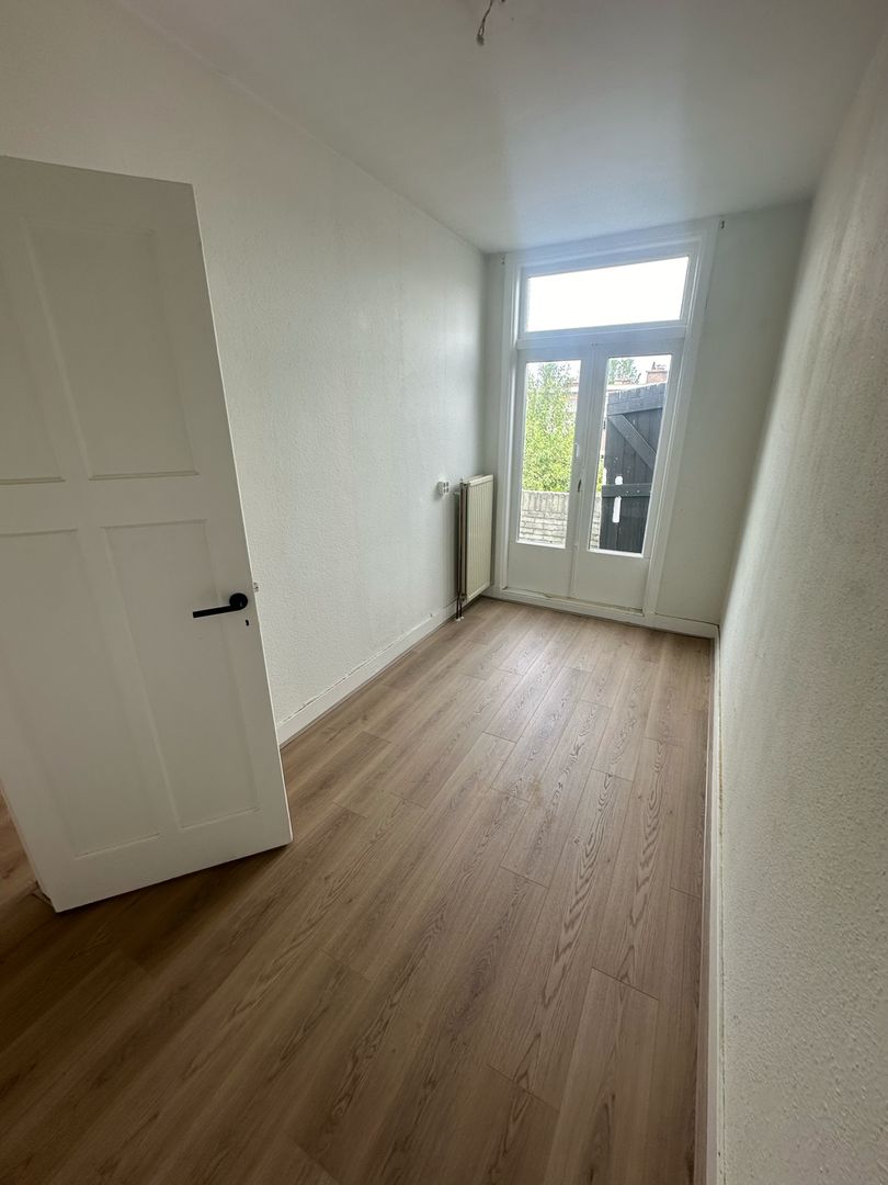 Pippelingstraat, Den Haag foto-6