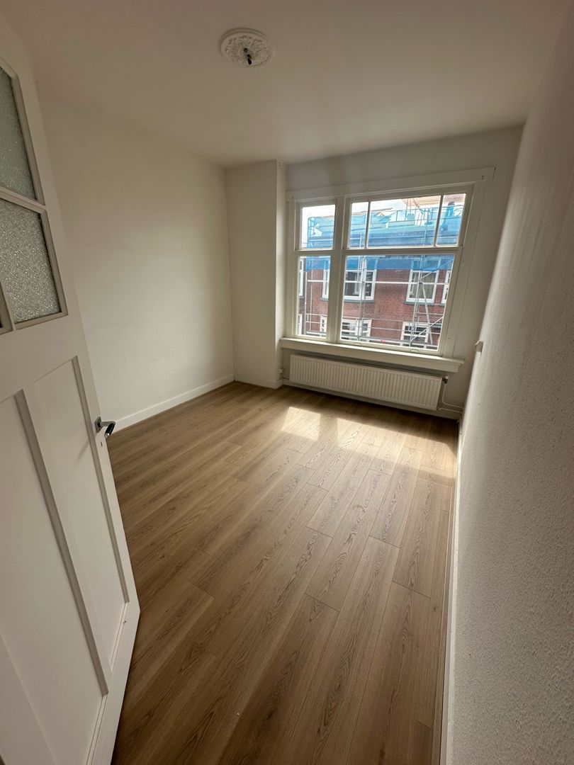 Pippelingstraat, Den Haag foto-4