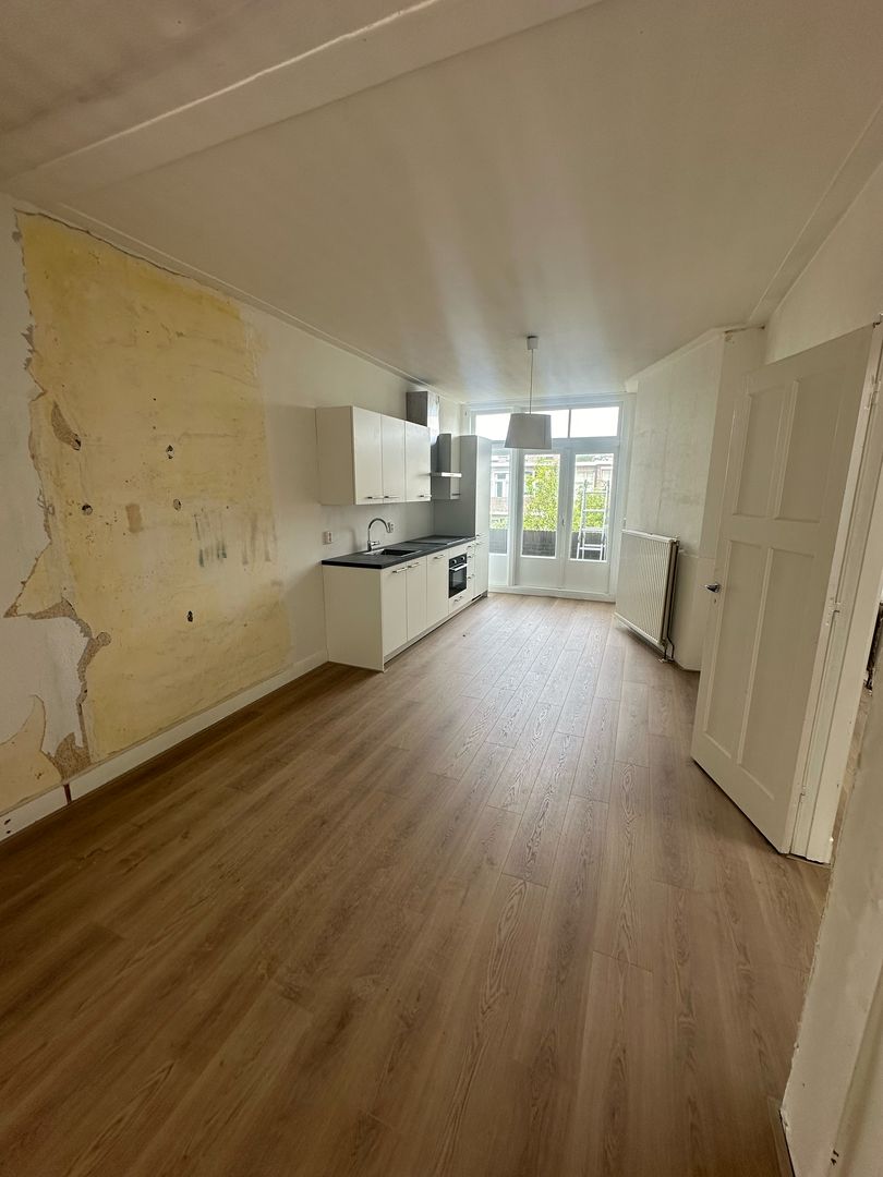 Pippelingstraat, Den Haag foto-2