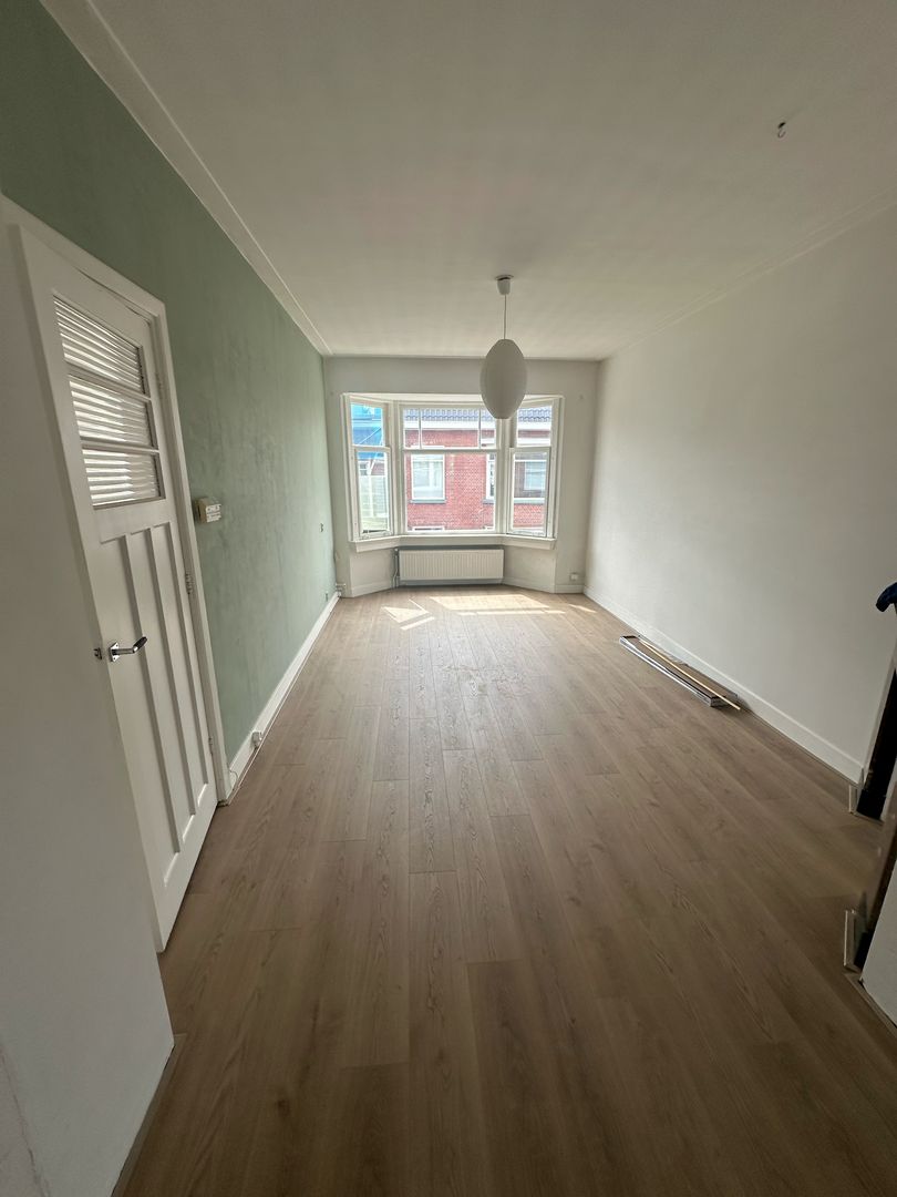 Pippelingstraat, Den Haag foto-3